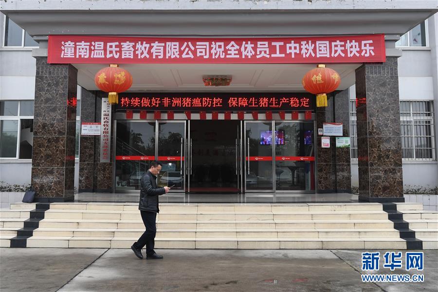 （在習(xí)近平新時代中國特色社會主義思想指引下——新時代新作為新篇章·總書記關(guān)切高質(zhì)量發(fā)展·圖文互動）（1）穩(wěn)住“一頭豬”、供好“一袋米”、配好“一籃菜