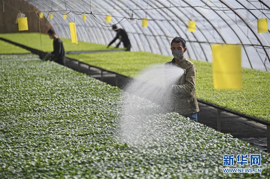 (新華全媒頭條·圖文互動)(12)磨難壓不垮 奮起正當(dāng)時——習(xí)近平總書記在統(tǒng)籌推進新冠肺炎疫情防控和經(jīng)濟社會發(fā)展工作部署會議上的重要講話振奮人心凝聚力量