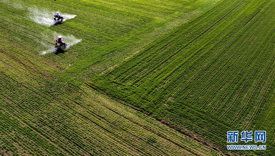 (新華全媒頭條·圖文互動)(13)磨難壓不垮 奮起正當(dāng)時——習(xí)近平總書記在統(tǒng)籌推進新冠肺炎疫情防控和經(jīng)濟社會發(fā)展工作部署會議上的重要講話振奮人心凝聚力量