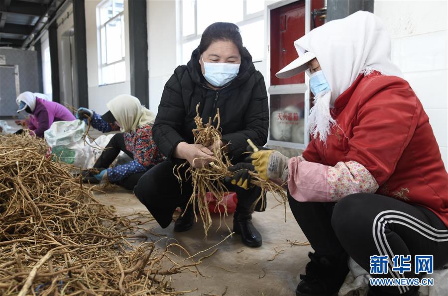 （新華全媒頭條·圖文互動）（2）特殊時期，他們這樣履職——全國人大代表這個春天在行動