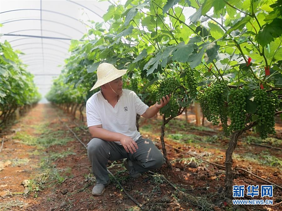 （新華全媒頭條·圖文互動(dòng)）（11）春色最濃在田間——來自全國(guó)春耕備耕的現(xiàn)場(chǎng)觀察