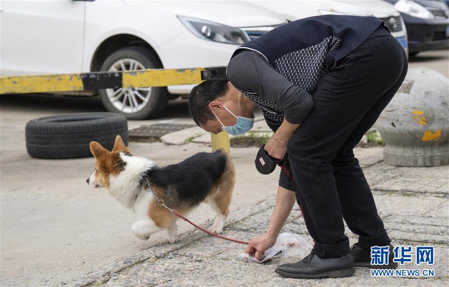 （聚焦疫情防控）（9）武漢：動物醫(yī)院里的臨時(shí)&ldquo;奶爸&rdquo;