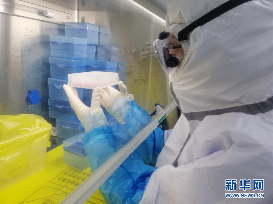 （一線抗疫群英譜·圖文互動）（2）“95后”大學(xué)生郝鶯歌：退掉車票，她選擇直面病毒