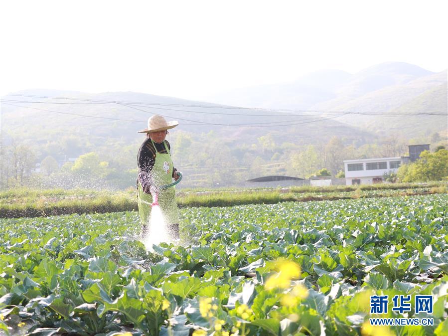 （決戰(zhàn)決勝脫貧攻堅(jiān)·圖文互動）（3）逐項(xiàng)逐戶排查補(bǔ)齊脫貧攻堅(jiān)“短板”——貴州晴隆縣扶貧一線工作見聞 