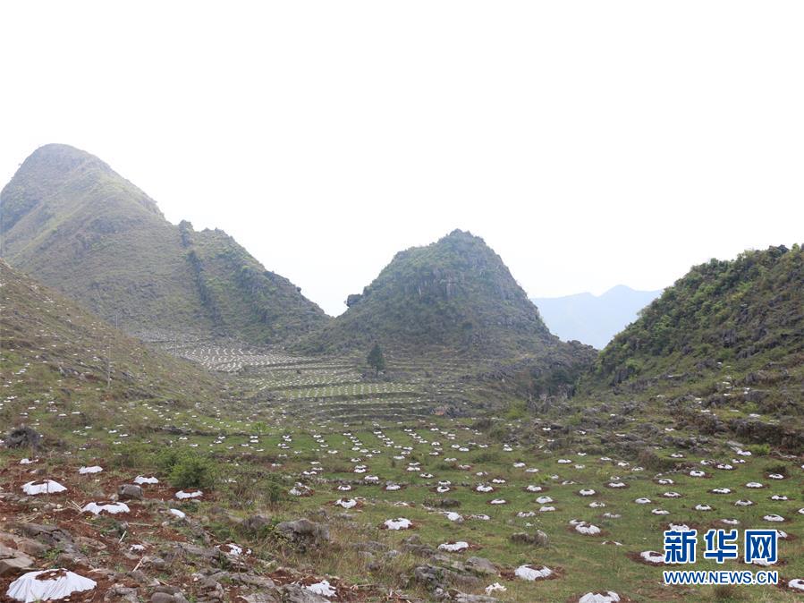 （決戰(zhàn)決勝脫貧攻堅(jiān)·圖文互動）（4）逐項(xiàng)逐戶排查補(bǔ)齊脫貧攻堅(jiān)“短板”——貴州晴隆縣扶貧一線工作見聞 