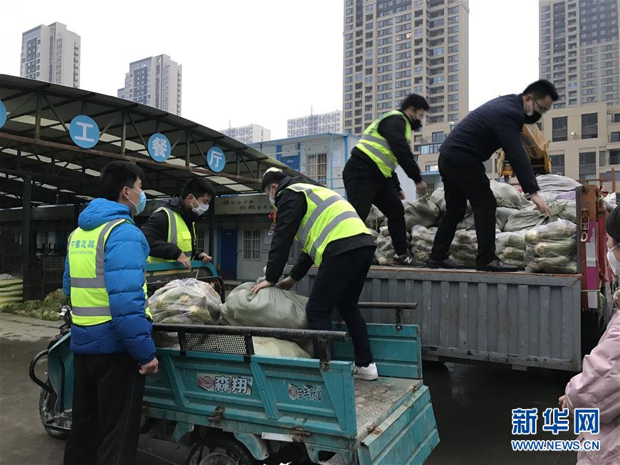 （一線抗疫群英譜·圖文互動）（2）“面對疫情，我們能做點啥？”——“蘿卜哥”朱海洋的擔當