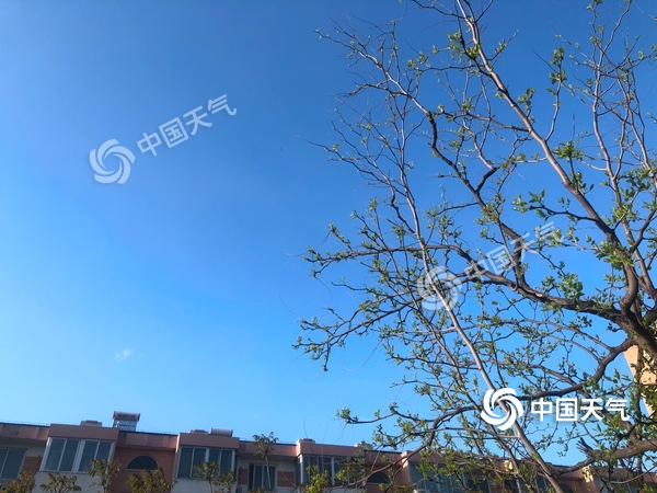 陣風(fēng)8級(jí)！北京遭遇雨后大降溫 北風(fēng)勁吹需添衣