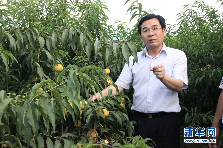 （圖文互動）（2）“為脫貧而來，為脫貧而去”——追記湖南炎陵縣委原書記黃詩燕 