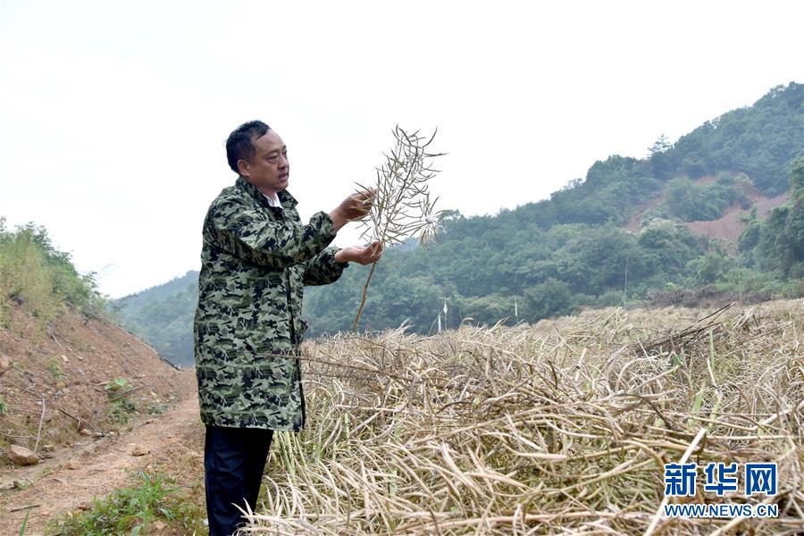 （代表委員履職·圖文互動）（1）“我是農民代表，始終關注農村”——全國人大代表沈昌健的履職故事