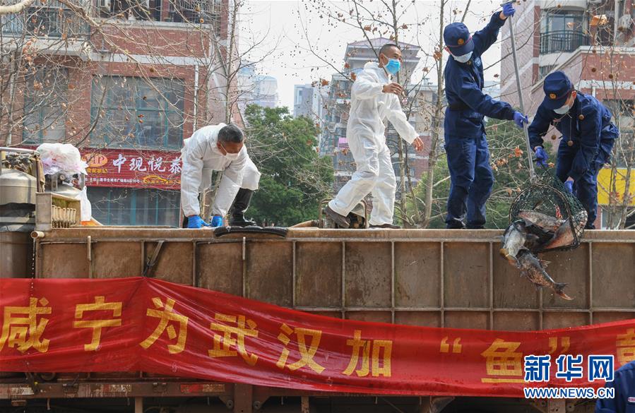 （新華全媒頭條·圖文互動(dòng)）（12）從人民中汲取磅礴力量——習(xí)近平總書(shū)記同出席2020年全國(guó)兩會(huì)人大代表、政協(xié)委員共商國(guó)是紀(jì)實(shí)