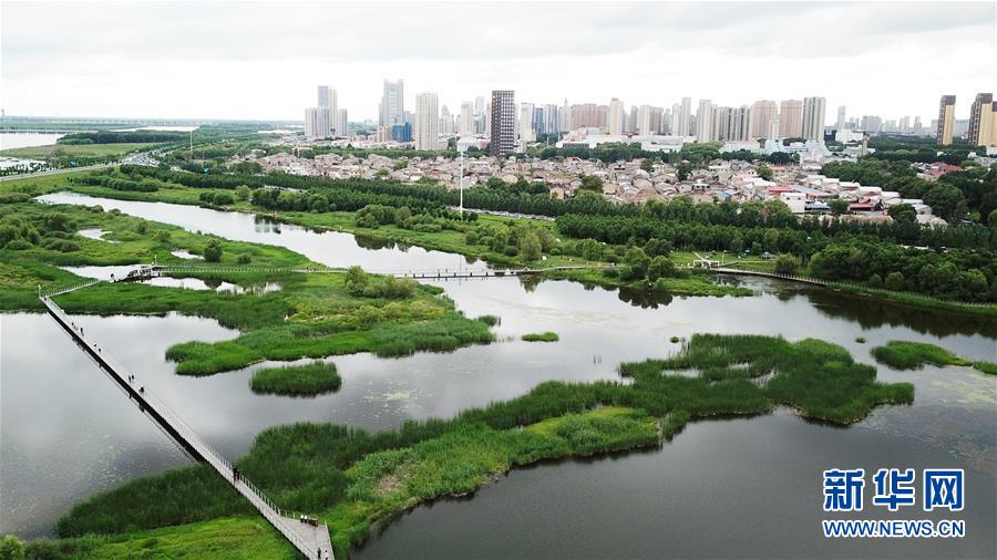 （走向我們的小康生活·圖文互動(dòng)）（2）水清、地綠、空氣新——最北省份黑龍江繪就生態(tài)治理新畫卷