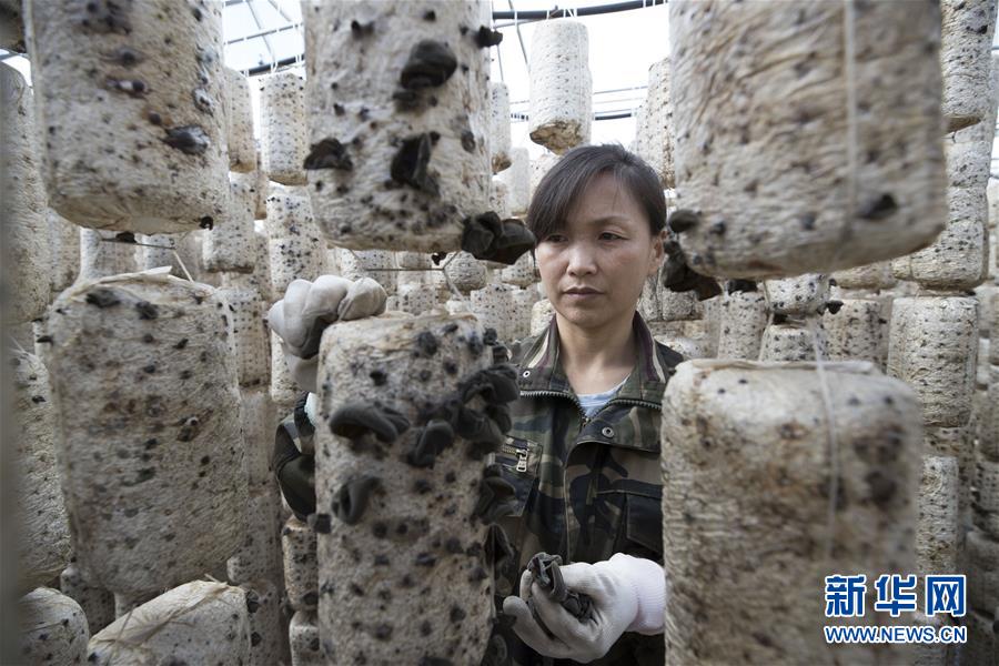 (新華全媒頭條·走向我們的小康生活·圖文互動(dòng))(15)迎著東升的紅日——走向小康之路的赫哲族