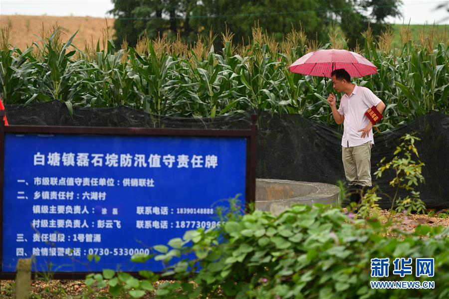 （防汛抗洪·圖文互動(dòng)）（1）“險(xiǎn)情不可怕，可怕的是不能及時(shí)發(fā)現(xiàn)險(xiǎn)情”——洞庭湖巡堤查險(xiǎn)現(xiàn)場(chǎng)直擊