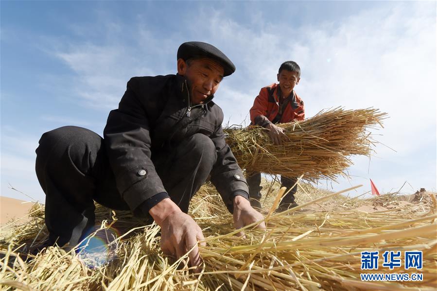 （在習(xí)近平新時(shí)代中國(guó)特色社會(huì)主義思想指引下——新時(shí)代新作為新篇章·習(xí)近平總書記關(guān)切事·圖文互動(dòng)）（5）綠色映底蘊(yùn)，山水見初心——生態(tài)優(yōu)先、綠色發(fā)展持續(xù)造福群眾美好生活