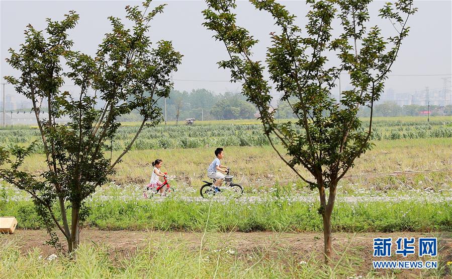 （新華全媒頭條·走向我們的小康生活·圖文互動）（14）城市，讓人民生活更美好