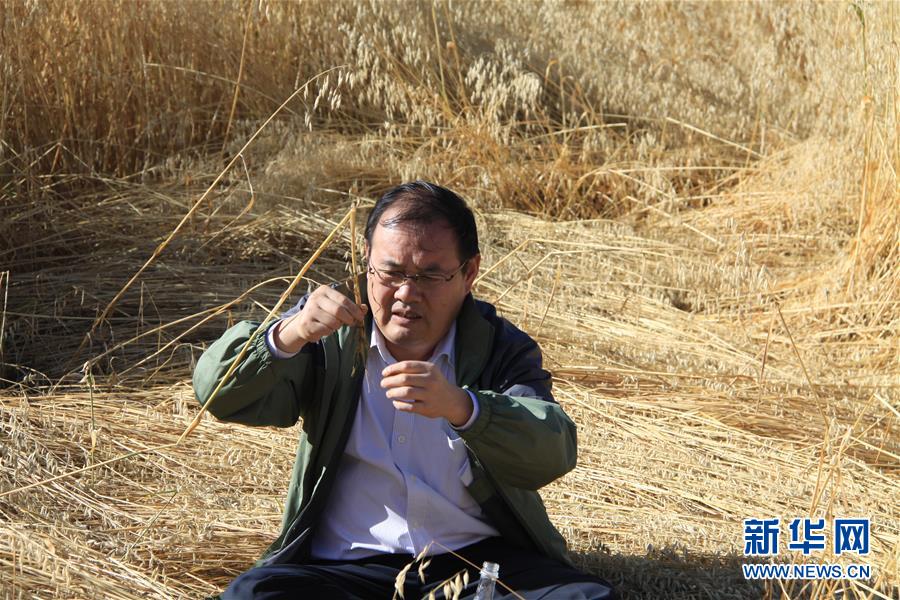（新時代擔當作為典型&middot;圖文互動）（1）草地生態(tài)專家趙新全：情深不舍三江源