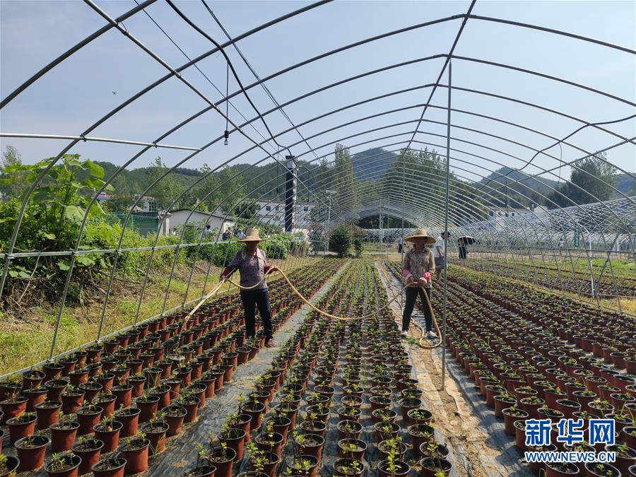 （決戰(zhàn)決勝脫貧攻堅·圖文互動）（3）安居樂業(yè)并重，搬遷脫貧同步——湖北88萬搬遷群眾脫貧觀察 