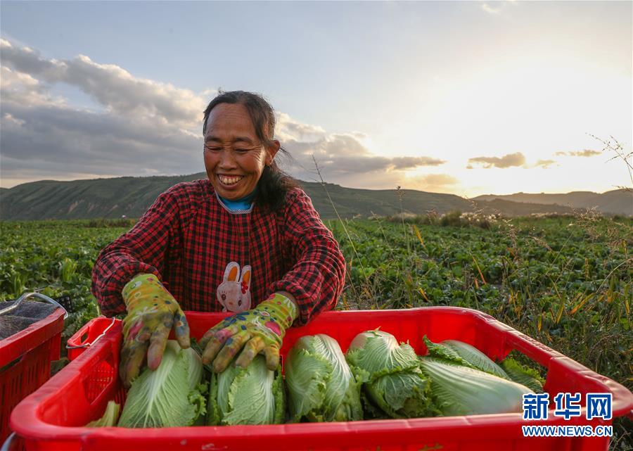 （新華全媒頭條·決戰(zhàn)決勝脫貧攻堅·督戰(zhàn)未摘帽貧困縣·圖文互動）（1）不獲全勝，決不收兵——全國52個掛牌督戰(zhàn)貧困縣脫貧攻堅紀實