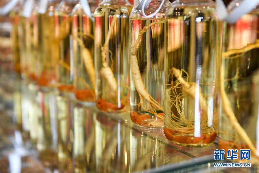 (走向我們的小康生活)(13)人參產(chǎn)業(yè)助民增收