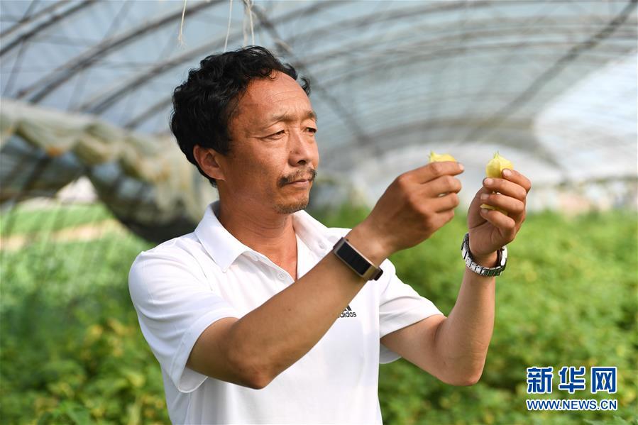 （新華全媒頭條·走向我們的小康生活·圖文互動）（7）黑土地上是我家——在吉林，一瞥中國東北鄉(xiāng)村美麗未來
