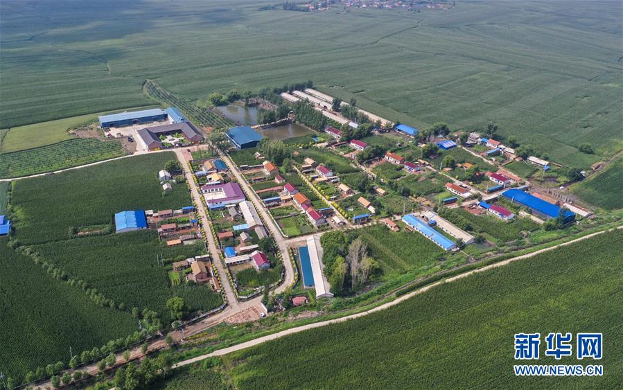 （新華全媒頭條·走向我們的小康生活·圖文互動）（12）黑土地上是我家——在吉林，一瞥中國東北鄉(xiāng)村美麗未來