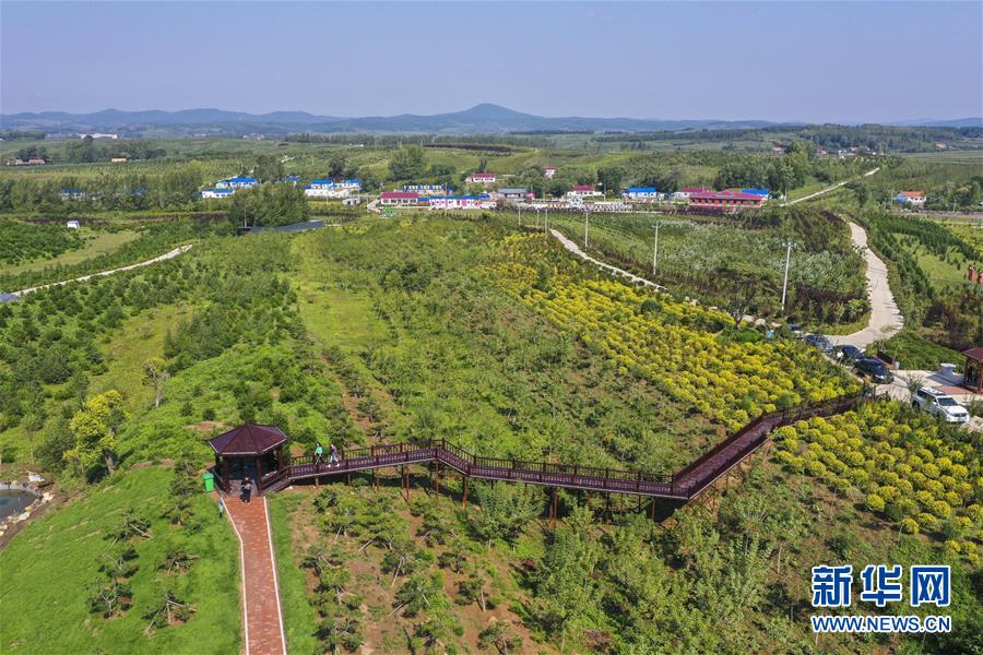 （新華全媒頭條·走向我們的小康生活·圖文互動）（16）黑土地上是我家——在吉林，一瞥中國東北鄉(xiāng)村美麗未來