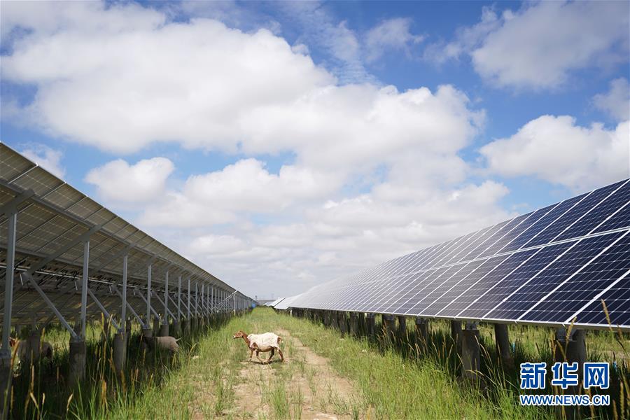 （新華全媒頭條&middot;走向我們的小康生活&middot;決戰(zhàn)決勝脫貧攻堅&middot;圖文互動）（2）高原上綻放的光芒&mdash;&mdash;來自青海攻克深度貧困堡壘的故事