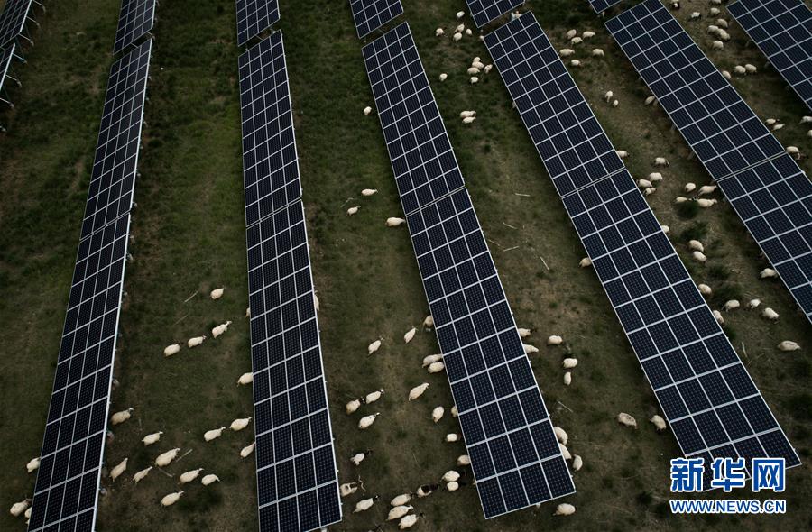 （新華全媒頭條&middot;走向我們的小康生活&middot;決戰(zhàn)決勝脫貧攻堅&middot;圖文互動）（3）高原上綻放的光芒&mdash;&mdash;來自青海攻克深度貧困堡壘的故事