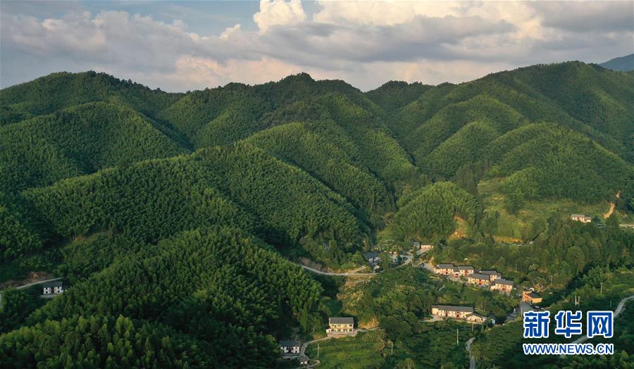 （新華全媒頭條·走向我們的小康生活·圖文互動）（2）神山村“神奇”何在？——井岡山深處覓答案