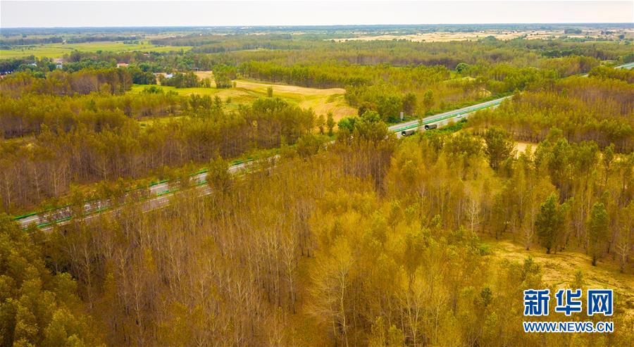 （在習(xí)近平新時代中國特色社會主義思想指引下&mdash;&mdash;新時代新作為新篇章&middot;習(xí)近平總書記關(guān)切事&middot;圖文互動）（3）綠意，在黃沙中鋪展&mdash;&mdash;我國防沙治沙紀(jì)實(shí)