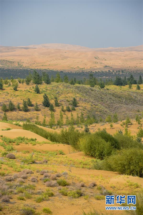 （在習(xí)近平新時代中國特色社會主義思想指引下&mdash;&mdash;新時代新作為新篇章&middot;習(xí)近平總書記關(guān)切事&middot;圖文互動）（6）綠意，在黃沙中鋪展&mdash;&mdash;我國防沙治沙紀(jì)實(shí)