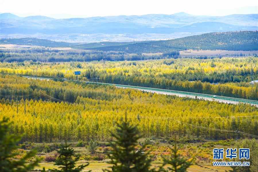 （在習(xí)近平新時代中國特色社會主義思想指引下&mdash;&mdash;新時代新作為新篇章&middot;習(xí)近平總書記關(guān)切事&middot;圖文互動）（7）綠意，在黃沙中鋪展&mdash;&mdash;我國防沙治沙紀(jì)實(shí)