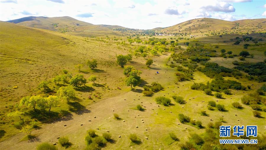 （在習(xí)近平新時代中國特色社會主義思想指引下&mdash;&mdash;新時代新作為新篇章&middot;習(xí)近平總書記關(guān)切事&middot;圖文互動）（4）綠意，在黃沙中鋪展&mdash;&mdash;我國防沙治沙紀(jì)實(shí)