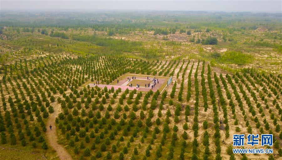 （在習(xí)近平新時代中國特色社會主義思想指引下&mdash;&mdash;新時代新作為新篇章&middot;習(xí)近平總書記關(guān)切事&middot;圖文互動）（2）綠意，在黃沙中鋪展&mdash;&mdash;我國防沙治沙紀(jì)實(shí)