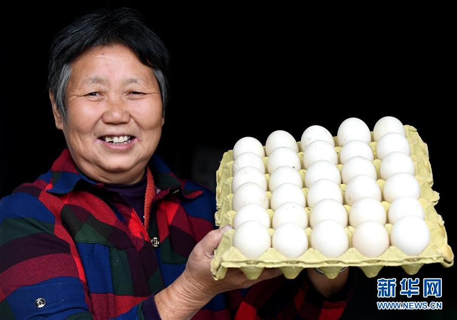 (決戰(zhàn)決勝脫貧攻堅·圖文互動)(3)17代人追逐的夢想實現(xiàn)了——記冀南平原劉秋口村變遷