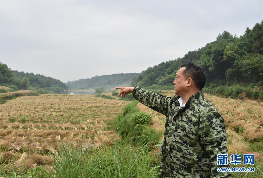 （代表委員履職·圖文互動(dòng)）（2）“我是農(nóng)民代表，始終關(guān)注農(nóng)村”——全國(guó)人大代表沈昌健的履職故事