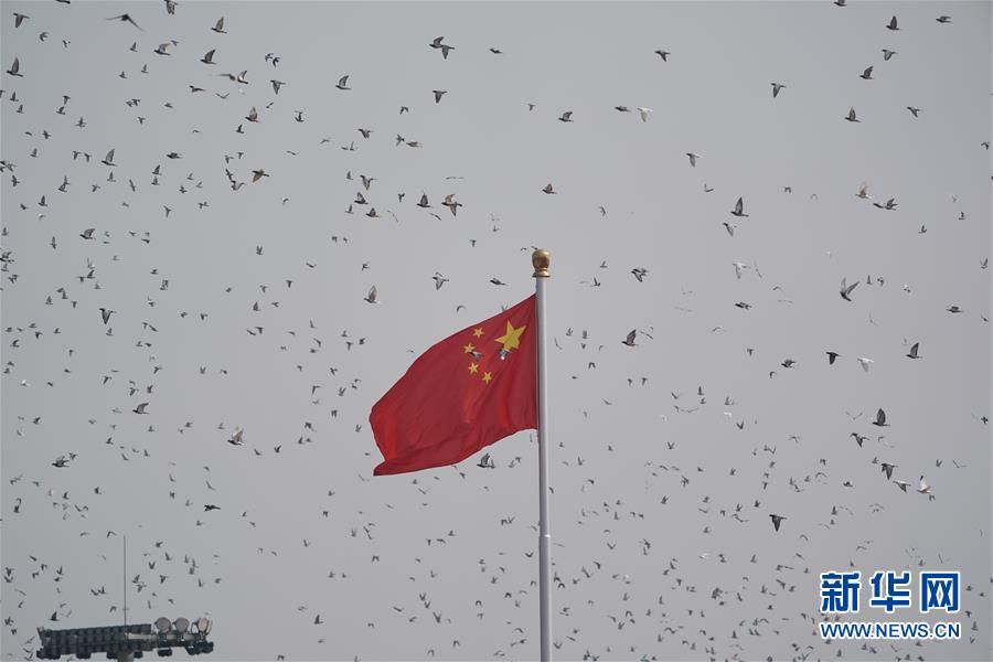 （國慶70周年·慶祝大會(huì)）慶祝中華人民共和國成立70周年大會(huì)在京隆重舉行