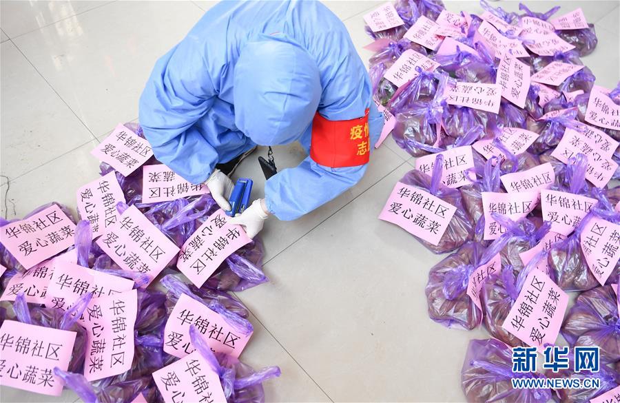 （習近平致敬的戰(zhàn)“疫”英雄·志愿者篇·圖文互動）（11）他們，微光成炬照征程