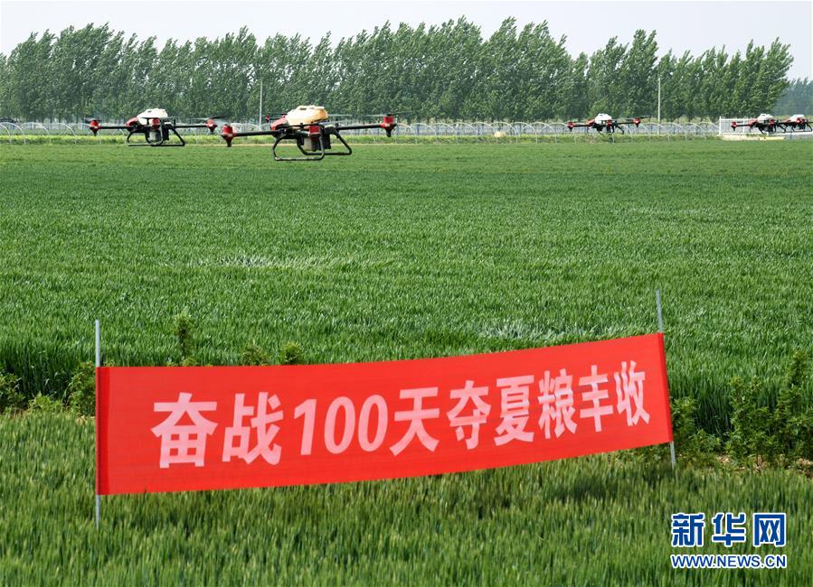 （在習近平新時代中國特色社會主義思想指引下——新時代新作為新篇章·習近平總書記關切事·圖文互動）（9）新農事、新希望——夏收前田間新動態(tài)掃描