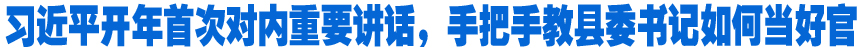 習(xí)近平開年首次對(duì)內(nèi)重要講話，手把手教縣委書記如何當(dāng)好官