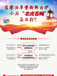 監(jiān)察法草案新鮮出爐 今后“老虎蒼蠅”怎么打？