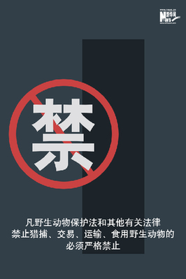 向非法野生動(dòng)物交易、濫食野生動(dòng)物陋習(xí)亮劍