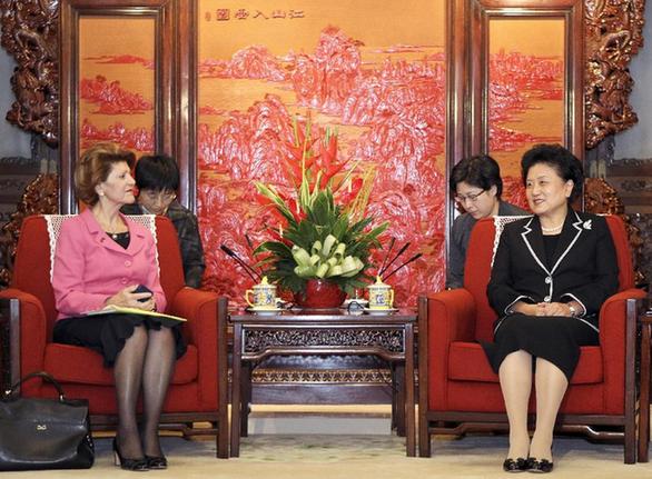劉延?xùn)|會(huì)見歐盟委員會(huì)教育、文化、語言多樣性及青年事務(wù)委員瓦西利烏