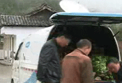 特寫:一個森林管護(hù)員的堅守