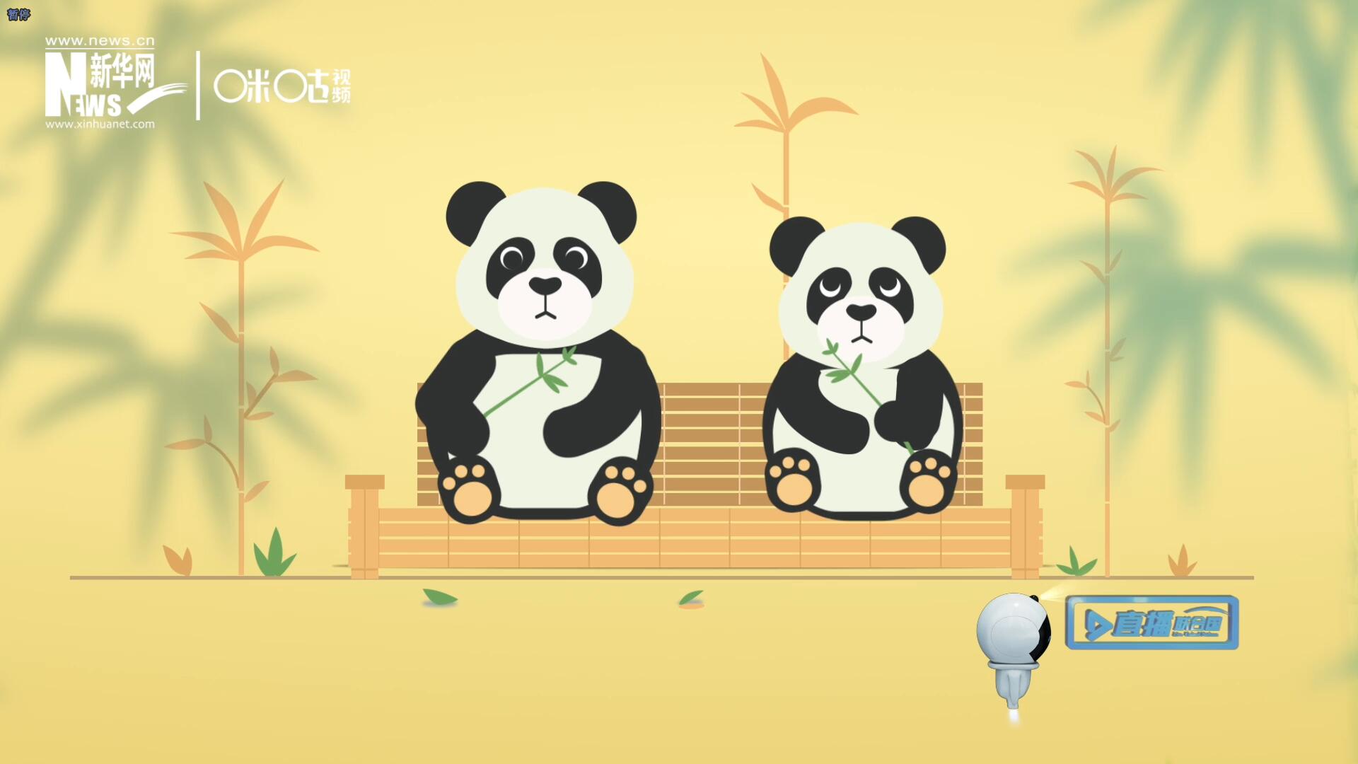“哥哥你看，又有人來(lái)看我們了。”“有什么奇怪的，我們可是聯(lián)合國(guó)‘最萌’的大使啊！”。