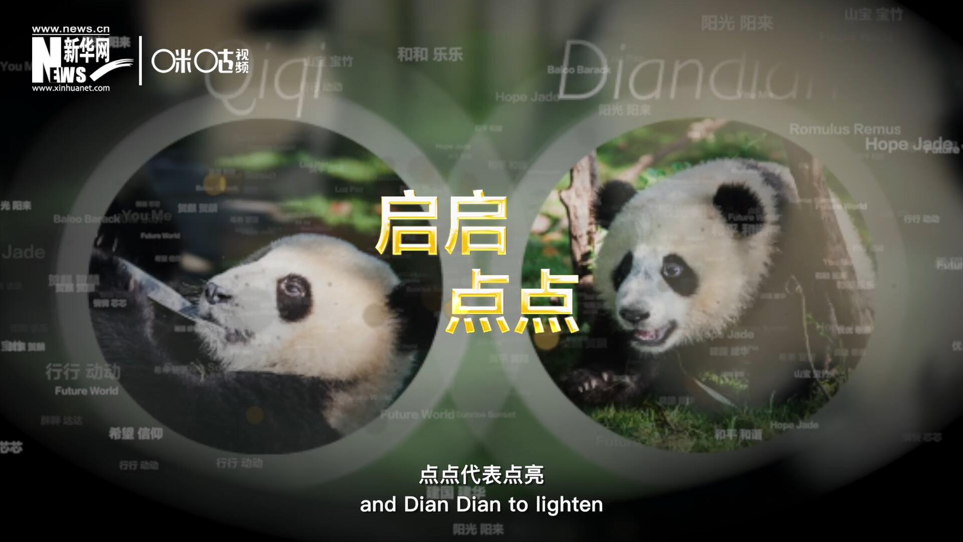 啟啟代表“啟發(fā)”，點(diǎn)點(diǎn)代表“點(diǎn)亮”，象征著2030年可持續(xù)發(fā)展議程 的“起點(diǎn)”，也象征著全球可持續(xù)發(fā)展路徑的新起點(diǎn)。