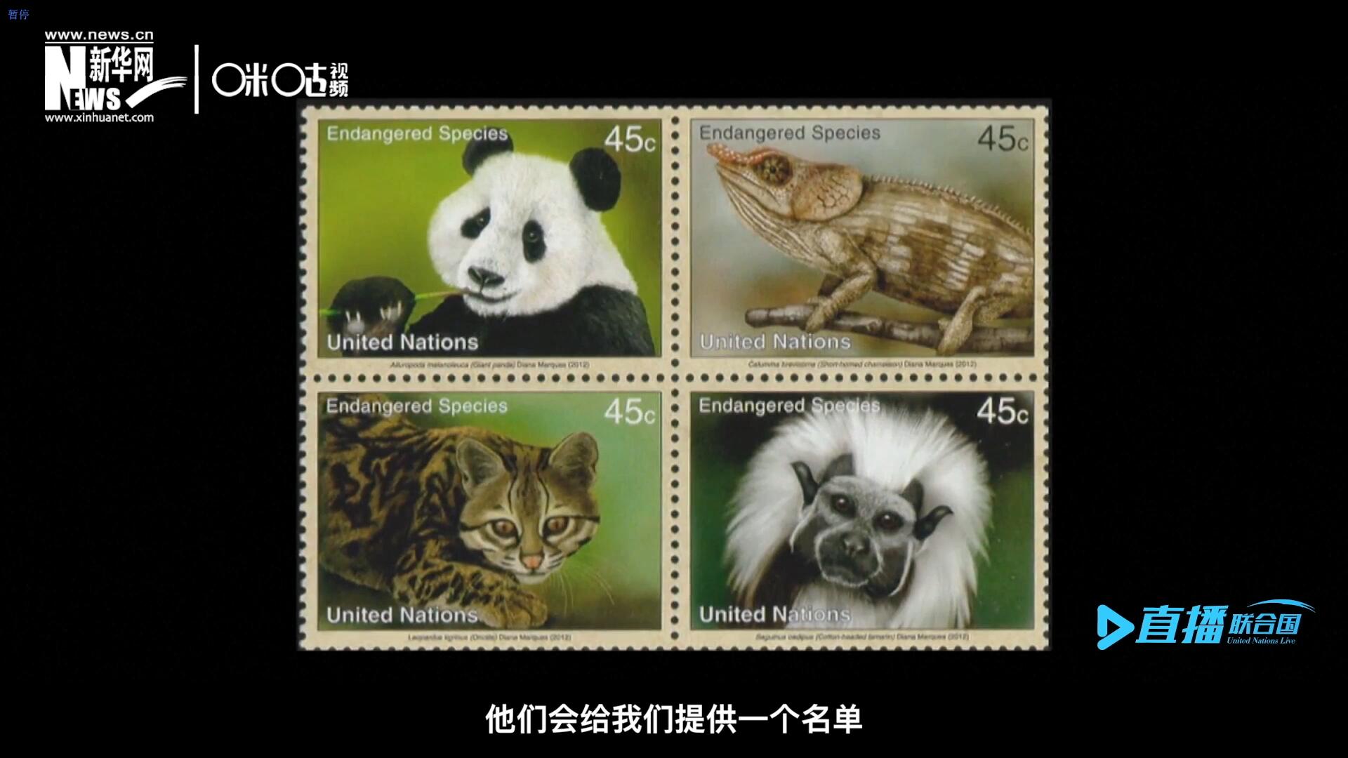 CITES（瀕危野生動(dòng)植物種國際貿(mào)易公約）會(huì)給聯(lián)合國郵政設(shè)計(jì)師提供一個(gè)名單，雙方共同合作在附錄中找到名單中應(yīng)該受到關(guān)注的動(dòng)物。