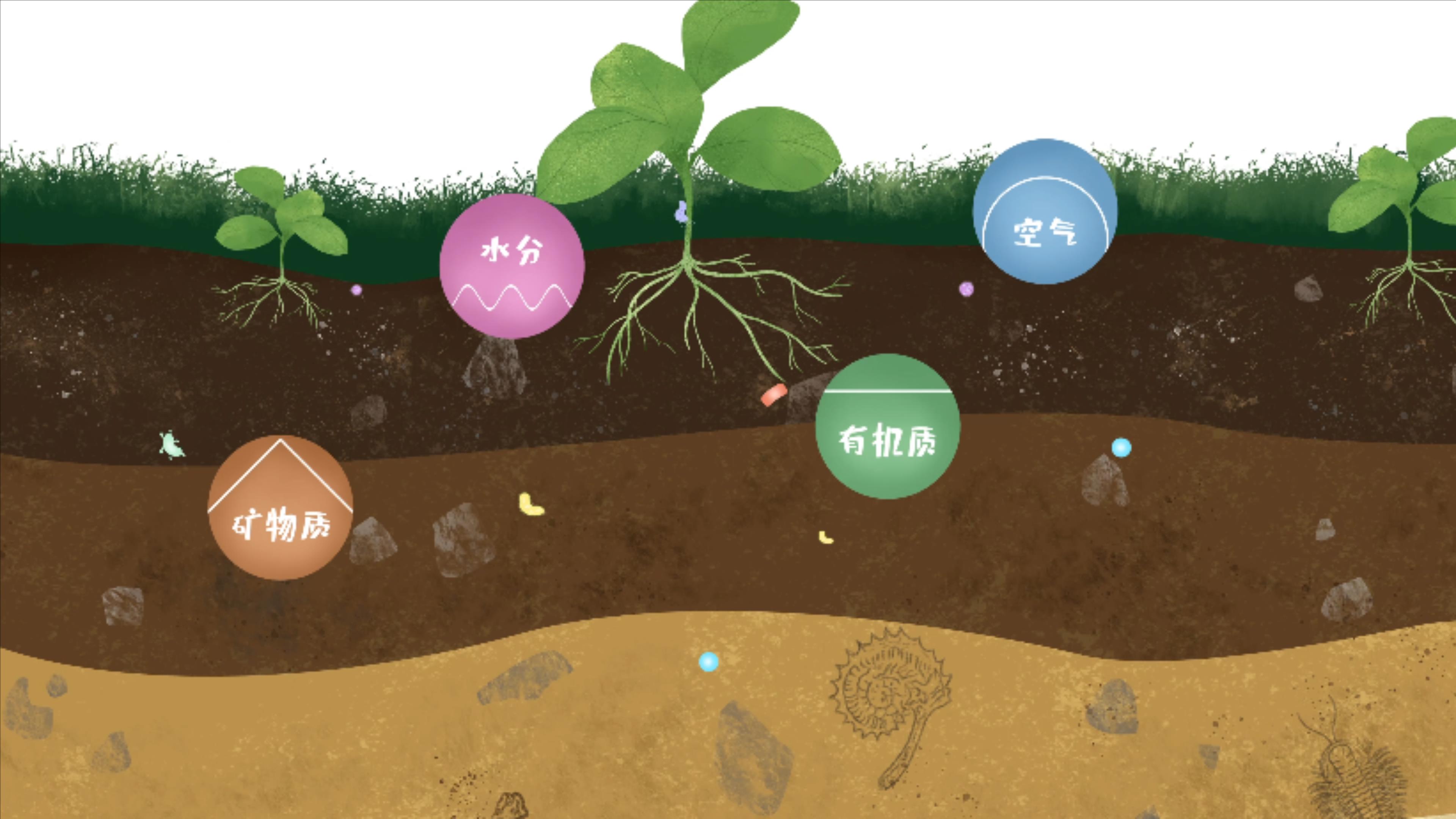 土壤由礦物質(zhì)、有機(jī)質(zhì)、水分、空氣及包括微生物在內(nèi)的生物體等組成