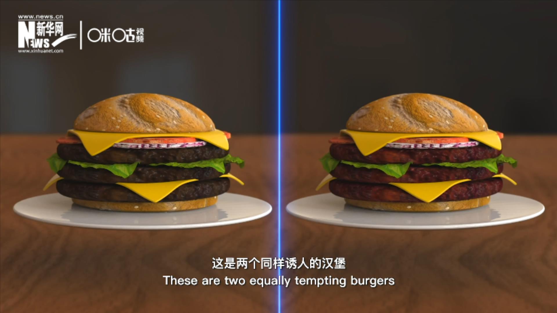 人造肉漢堡能在生產(chǎn)過程中節(jié)約水、土地、排放以及能量