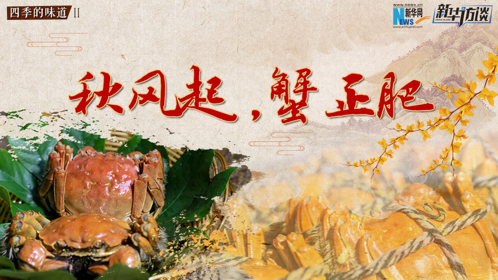 秋風(fēng)起，蟹正肥